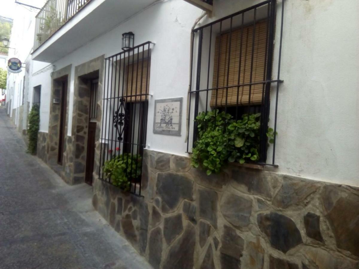Gasthaus Casa Rural Majaceite El Bosque Exterior foto
